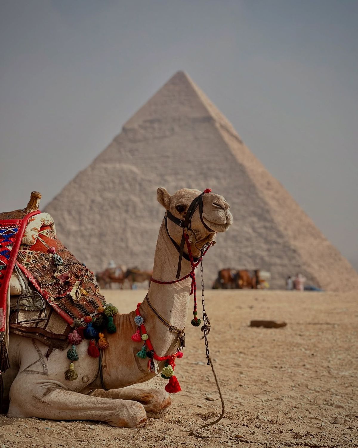 Cairo & Giza