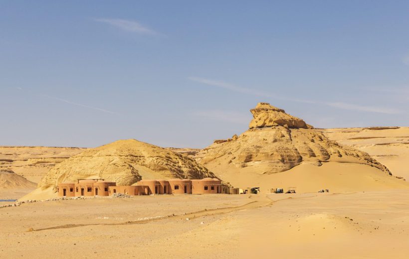 Wadi El Hitan & Desert Safari Tour From Cairo